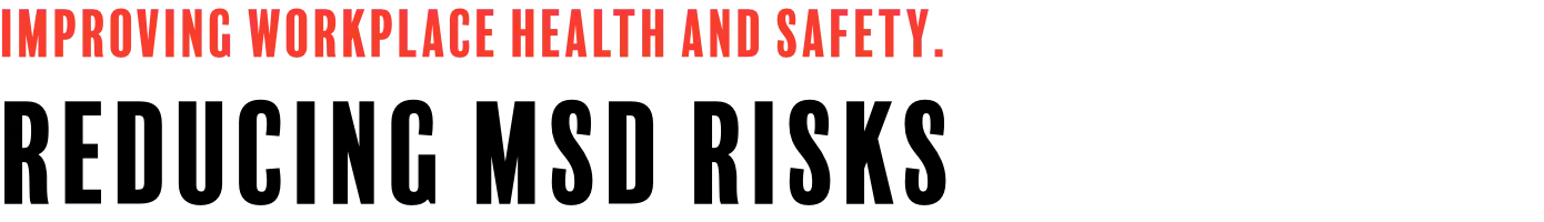 Improving Workplace Health and Safety. Reducing MSD Risks