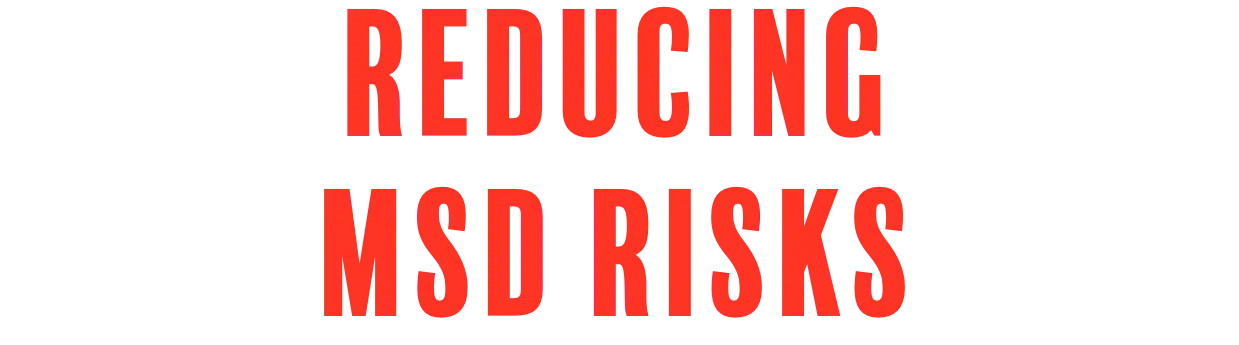 Reducing MSD Risks Image